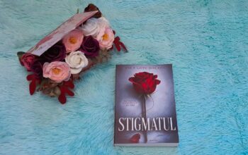 Stigmatul – Anca Goțu Diaconu